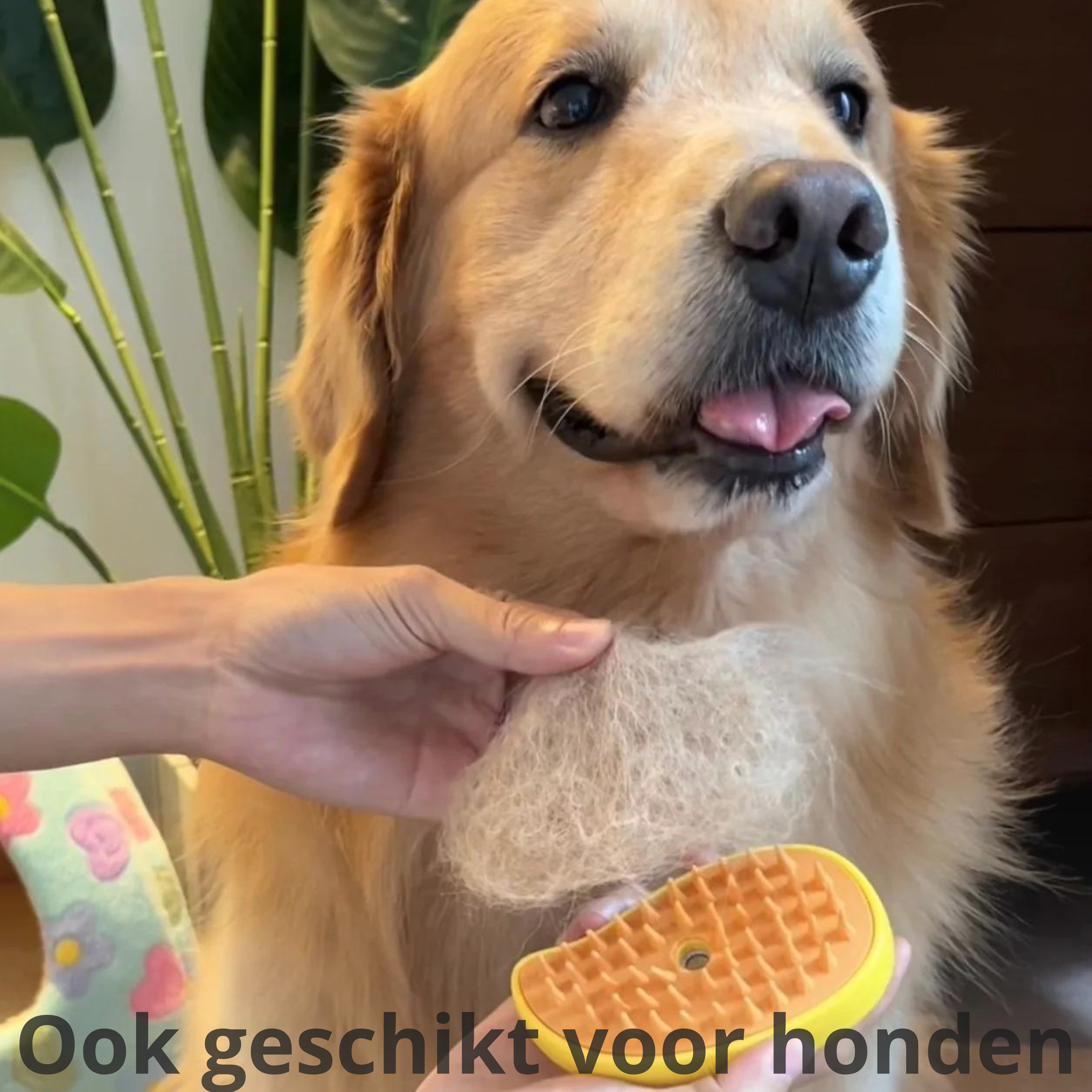 PetGroomer Pro - Versterkt de band met je viervoeter!